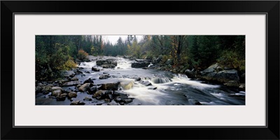 High angle view of a river flowing through a forest, Black River, Adirondack Mountains, New York State