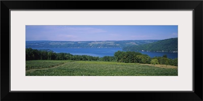 High angle view of a vineyard near a lake, Keuka Lake, Finger Lakes, New York State