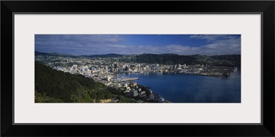 High angle view of buildings in a city, Mt Victoria, Wellington, North Island, New Zealand