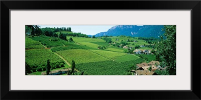 High angle view of fields, Bolzano, Italy