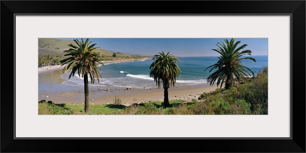 High angle view of palm trees on the beach, Refugio State Beach, California