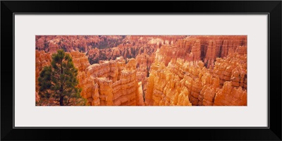 High angle view of rock formations, Bryce Canyon National Park, Utah