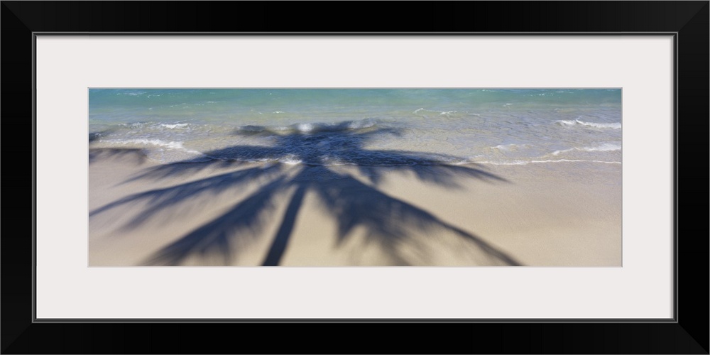 Panoramic photograph of palm tree silhouette on shoreline.