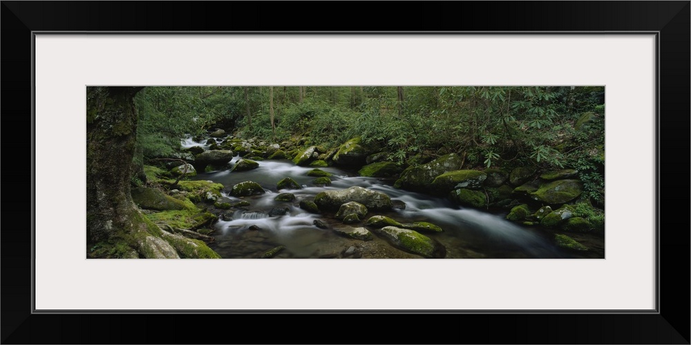 Panoramic photograph on a big canvas of a rocky stream surrounded by a dense, green forest in the Great Smoky Mountains Na...