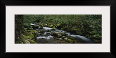 High angle view of stream flowing through a forest, Great Smoky Mountains National Park, Tennessee