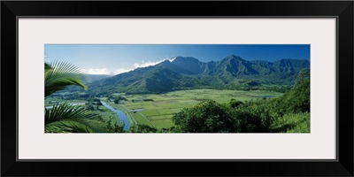 High angle view of taro fields, Hanalei Valley, Kauai, Hawaii