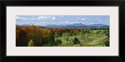 High angle view of trees in the forest, Newport, Vermont, New England