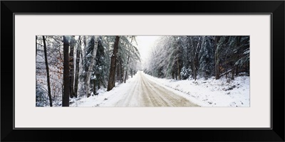 Highway running through a forest, New Hampshire, New England