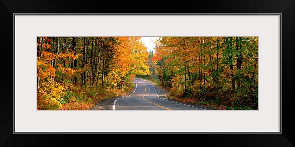 Highway Through a Forest Laurentides Quebec Canada