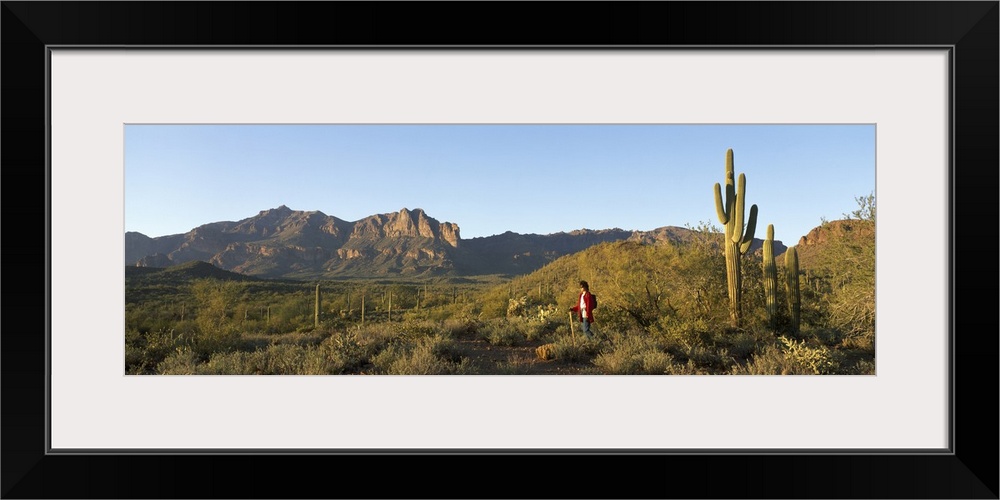 Hiker Superstition Wilderness Area Phoenix AZ