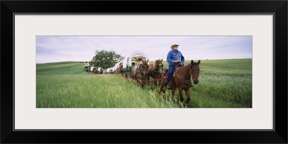 Historical reenactment of covered wagons in a field, North Dakota