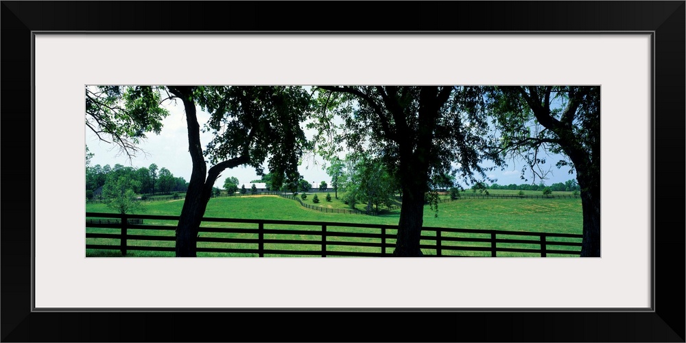 Horse Farm KY