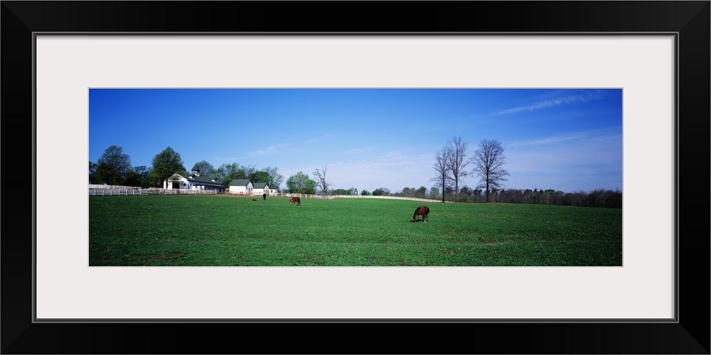 Horse Farm Lexington KY