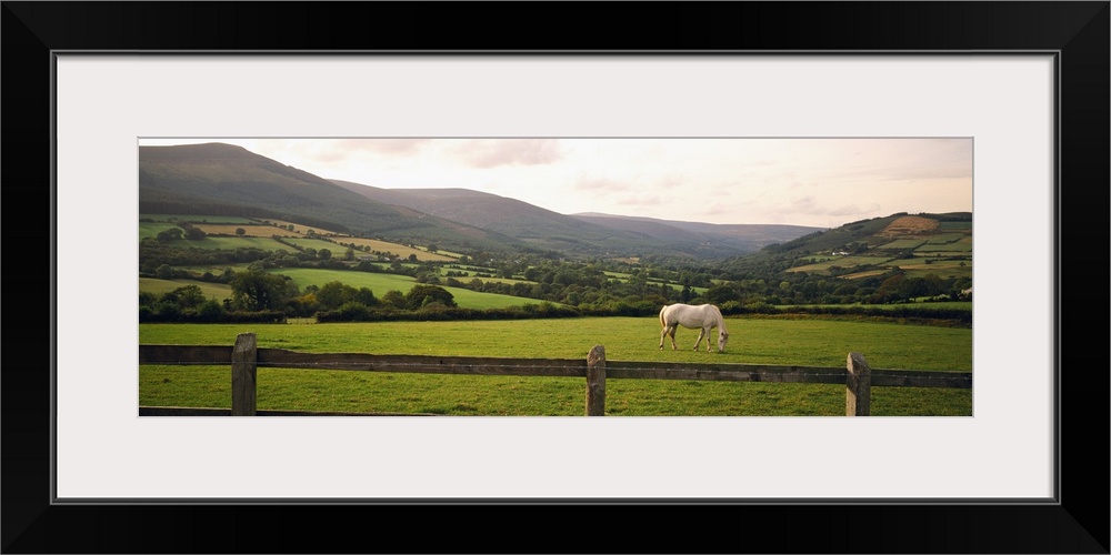 Big canvas photo of a horse grazing in a field with a fence in the foreground and rolling mountains in the distance.