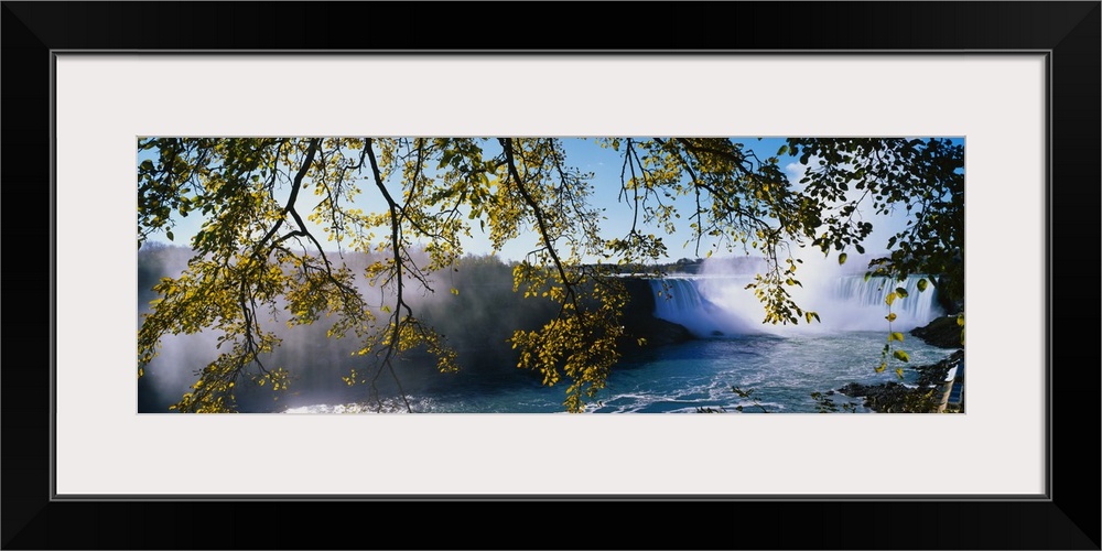 Panoramic photograph taken of Niagara Falls through low hanging tree branches that stretch across the picture.