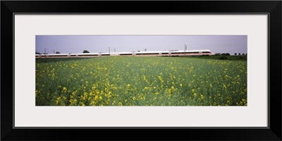 ICE Train passing through oilseed rape (Brassica napus) field, Baden-Wurttemberg, Germany