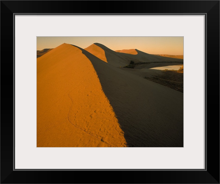 Idaho, Bruneau Dunes State Park, Aerial view of undulating sand dunes