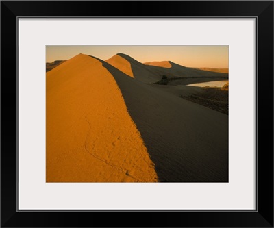 Idaho, Bruneau Dunes State Park, Aerial view of undulating sand dunes