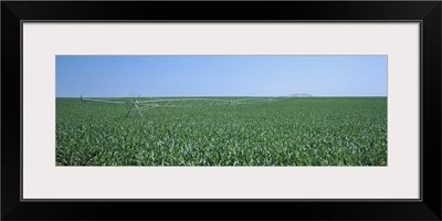 Irrigation pipeline in a corn field, Kearney County, Nebraska