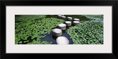 Japan, Kyoto, Helan Shrine, Water lilies in a pond