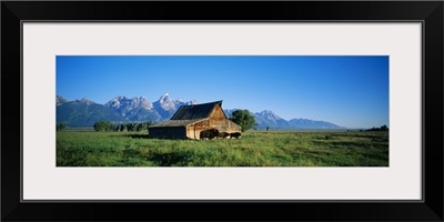 John Moulton Barn in field with bison, Grand Teton National Park, Wyoming