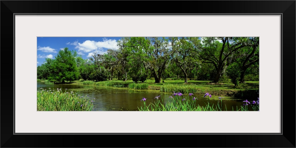 Jungle Gardens Avery Island Southern LA