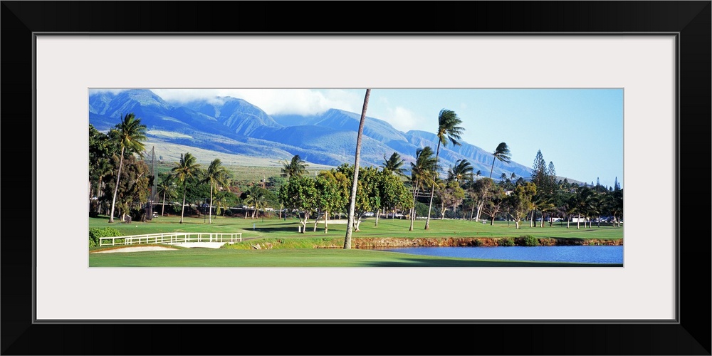 A panoramic golf landscape in a tropical paradise dotted with pine trees and mountains in the distance.