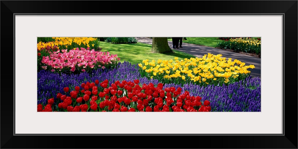 Panoramic photograph displays various groups of vibrantly colored flowers as they sit near the edge of a walking path in W...