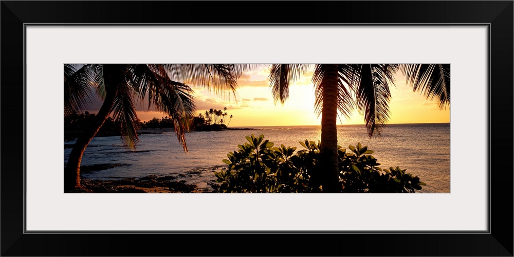 Panoramic wall art photo for the office or home of the Hawaiian coast; palm trees grow along the shore and the sun sets ov...