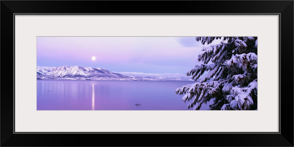 Wide angle photograph of the sun setting over Lake Tahoe, snow covered mountains in the background and a large pine in the...