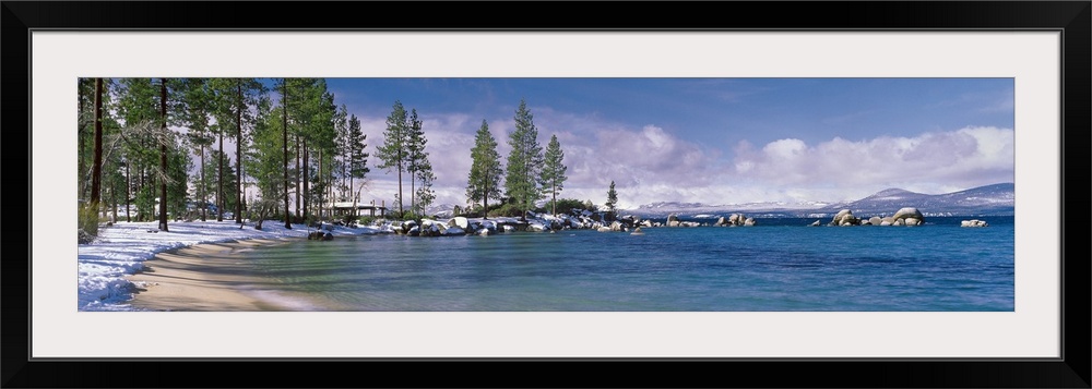 This large panoramic piece is a photograph of the Lake Tahoe coast. Pine trees line the snow covered sand and blue water c...