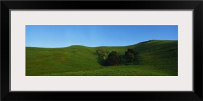 Landscape CA