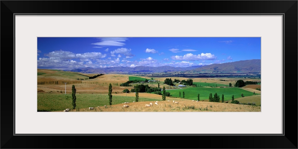 Landscape Fairlie New Zealand