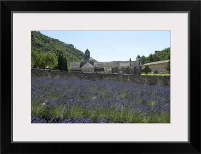 Lavender field in front of a monastery, Abbaye de Senanque