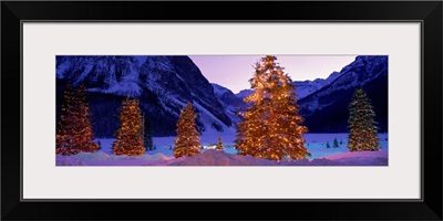 Lighted Christmas Trees Chateau Lake Louise Lake Louise Alberta Canada