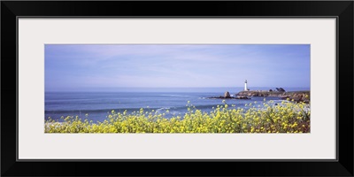 Lighthouse on the coast, Pigeon Point Lighthouse, San Mateo County, California