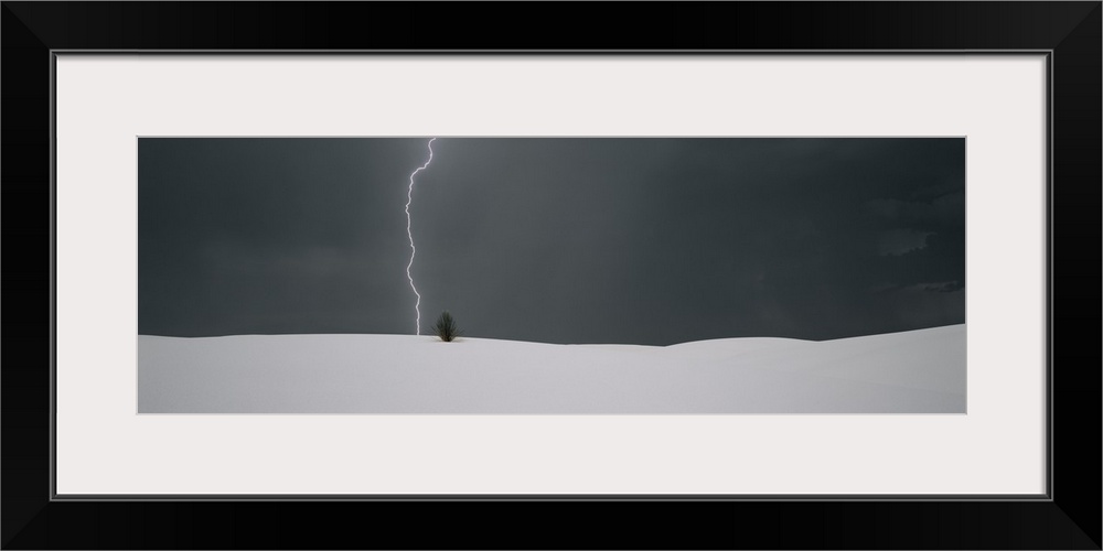 Panoramic photo print of a lightning strike hitting behind a plant near a sand dune.