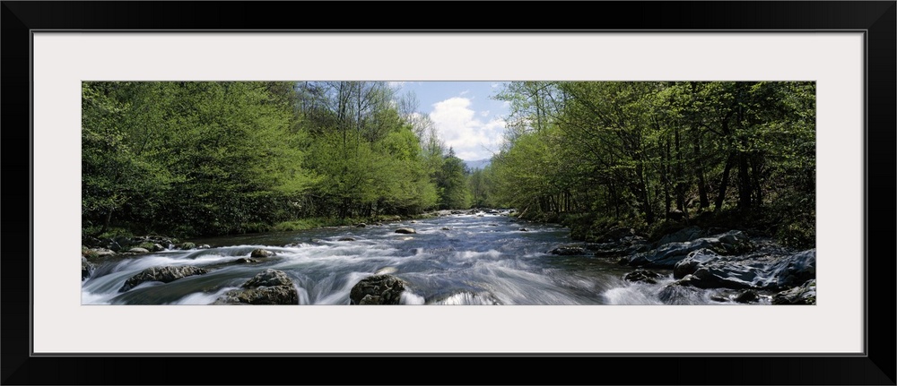 A river filled with boulders and rapids rushes through the forest in this panoramic photograph for decorative wall art.