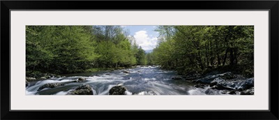 Little Pigeon River Greenbrier Area Great Smoky Mtns National Park TN