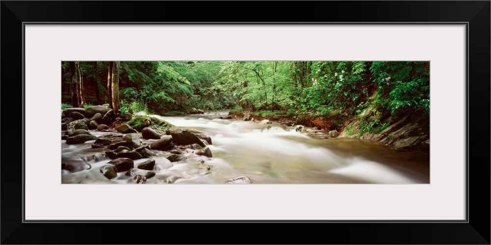 Little River Cades Cove Great Smoky Mountains TN