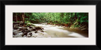 Little River Cades Cove Great Smoky Mountains TN