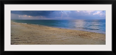 Loggerhead turtle (Caretta caretta) tracks on the beach, Casey Key, Osprey, Sarasota County, Florida,