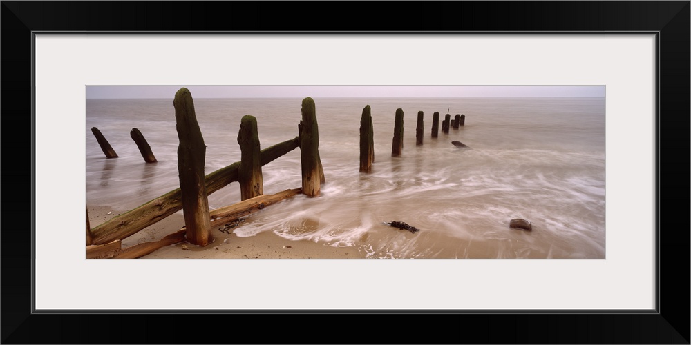 Logs on the beach, Spurn, Yorkshire, England