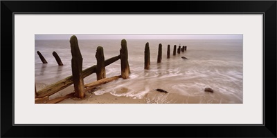 Logs on the beach, Spurn, Yorkshire, England