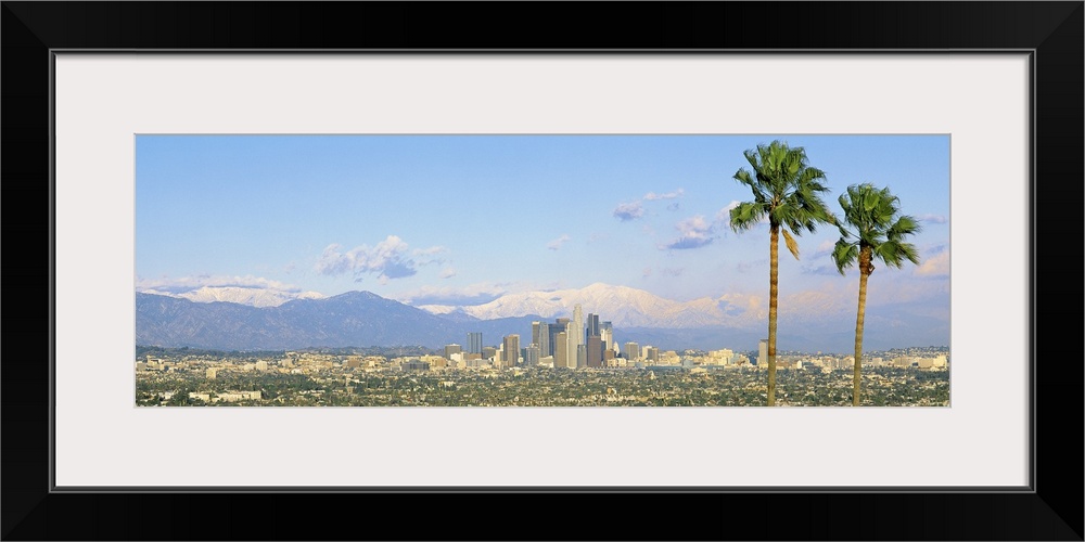 A wide angle photograph taken from an aerial view of Los Angeles with two large palm trees on the right of the picture and...