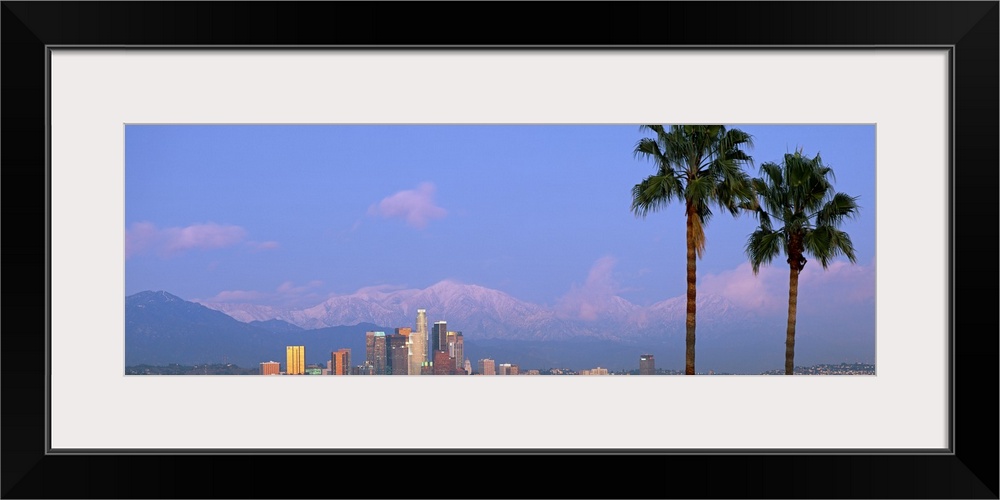 Panoramic photograph of skyline and palm trees under a cloudy sky with mountain silhouettes in the distance.