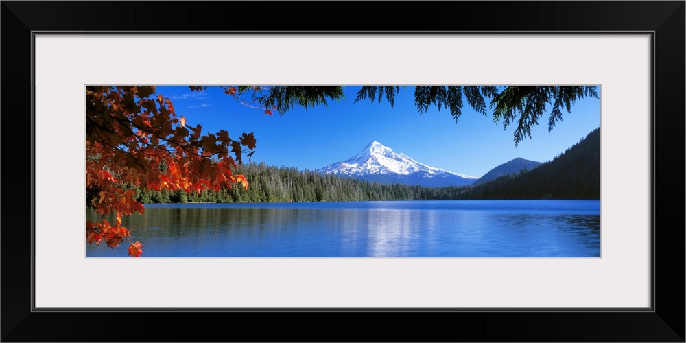 In the wilderness a mountain peak reflects in a lake surrounded by trees on this panoramic wall art.