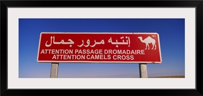 Low angle view of a camel crossing signboard, Douz, Tunisia