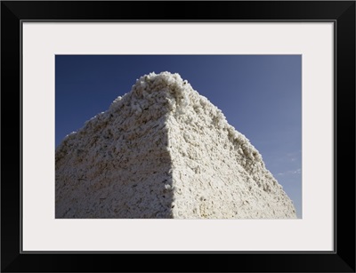 Low angle view of a heap of cotton, Wellington, Texas