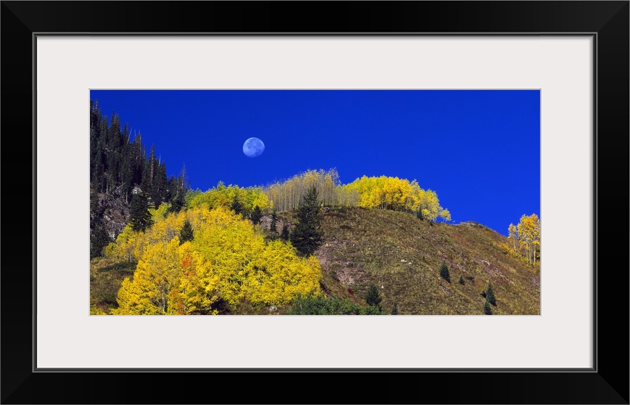 Thick foliage grows on a large cliff that is photographed from below with a view of the moon in the deep blue sky.